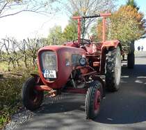 =Güldner Burgund steht im Oktober 2018 am Grabenhöfchen