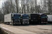 Teil der Flotte von Tessari&Karavelis (v.l.n.r.): Actros 1846  BlackEdition , Actros 1846 und nochmal Actros 1846. (07.03.2009)