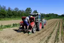 Fendt Allradschlepper mit Pflanzmaschine beim Aussetzen von Blumenzwiebeln, gesehen in der Rheinebene, Juni 2019 
