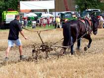 Ackertechnik aus fr�heren Tagen wird bei Reichersberg simuliert; 080810