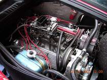 mal ohne Luftfilter - Motor des Mangusta