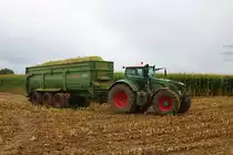 Fendt Vario 927 mit Krampe Mulde am 07.09.19 bei Frankfurt Bergen Enkheim 
