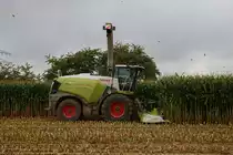 Claas Jaguar 950 beim Warten auf dem nächsten Ladewagen am 07.09.19 bei Frankfurt Bergen Enkheim 