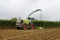 Claas Jaguar 950 beim Warten auf dem nächsten Ladewagen am 07.09.19 bei Frankfurt Bergen Enkheim 