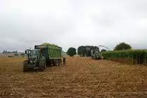 Zwei Fendt Vario 724 am 07.09.19 bei Frankfurt Bergen Enkheim 