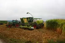 Claas Jaguar 950 am 07.09.19 bei Frankfurt Bergen Enkheim 