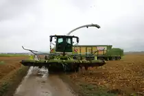 Claas Jaguar 950 am 07.09.19 bei Frankfurt Bergen Enkheim 