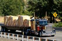 Peterbilt 379 am I 5 bei Rogue River, Oregon. August 2008