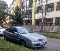 Citroen Xsara, fotografiert in Pécs (HU), August, 2019.