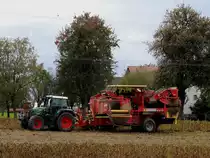 FENDT Vario-714 erntet mit GRIMME SE150-60 schmackhafte BIO-Speisekartoffel; 191003