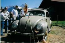 VW-K�fer (anscheinend gefunden in einem H�hnerstall) am K�fer-Treffen in Ch�teau-d'Oex