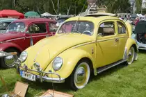 =VW Käfer steht auf dem Ausstellungsgelände in Bad Camberg anl. LOTTERMANN-Bullitreffen im Juni 2019