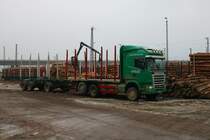 Scania Holztransporter am 02.01.20 in Hanau an einen zugänglichen Gelände 