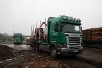 Scania Holztransporter am 02.01.20 in Hanau an einen zugänglichen Gelände 