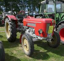 =Schlüter SF 3400, Bj. 1964, 34 PS, ausgestellt in Gudensberg im Juni 2019