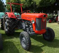 =MF 65, ausgestellt in Gudensberg im Juni 2019