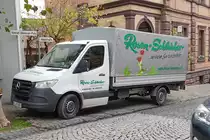 =MB Sprinter von Rosen-SCHLEICHER steht im November 2019 in Hünfeld