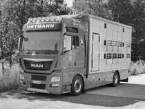 =MAN TGX der Firma ORTMANN als Tiertransporter, 06-2019