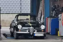 Frischer  TÜV  für den Alfa Romeo. (Hattingen, August 2019)