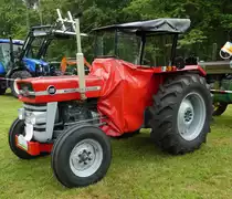 =MF 135 ausgestellt beim Köhlerfest in Bad Orb im Juni 2019