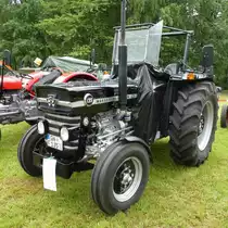 =MF 135, Bj. 1970, 47 PS, ausgestellt beim Köhlerfest in Bad Orb im Juni 2019