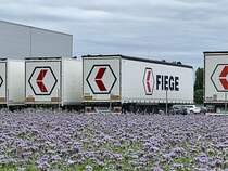 Einige Auflieger der Fiege am 3.7.20 bei der Landi Schweiz in Dotzigen.