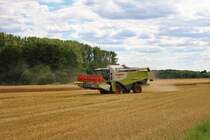 Claas Lexion 640 des Bodenverband Main Kinzig am 07.07.20 beim Roggen Dreschen bei Maintal Wachenbuchen 