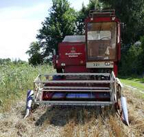 Mähdrescher  IHC 321 , Frontansicht, Juli 2020