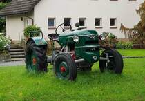 =Meili steht im Oktober 2019 in Höchst/Österreich