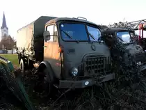 STEYR-680 im Doppelpack; einerseits mit der Abendsonne im Rücken, anderseits schon von der Botanik in Beschlag genommen; 200208