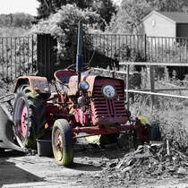 Oldtimer, Farmall Traktor auf einer Pferde Farm in Limburg (NL)