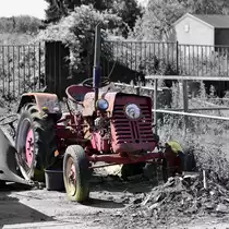 Oldtimer, Farmall Traktor auf einer Pferde Farm in Limburg (NL)