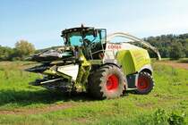 Claas Jaguar 970 am 11.09.20 bei Langenselbold 