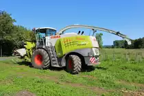 Claas Jaguar 970 am 11.09.20 bei Langenselbold