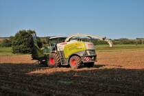 Claas Jaguar 970 am 11.09.20 bei Langenselbold