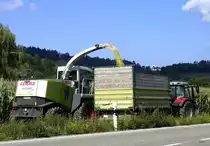 Claas Jaguar 850, Häcksler bei der Maisernte, Sept.2020