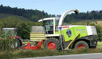 Claas Jaguar 850, Häcksler bei der Arbeit im Maisfeld, Sept.2020