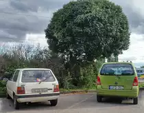 Rückansicht: Fiat Uno & Opel Agila, aufgenommen in 09.2020.