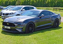 Ford Mustang GT 5.0 am Flugplatz Müggenhausen - 30.05.2021