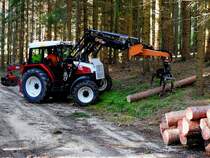 STEYR 958-Turbo,  verrichtet nach einem Sturm die anfallende Waldarbeit; 210710