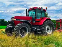 Case 7140 aufgenommen in Laxenburg 04.07.2021