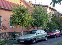 Fiat Brava in Oktober 2020.