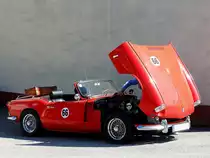 TRIUMPH mit der Nr.66, bei einem kleinen Boxenstopp; 200904