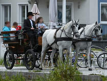 Mitte August 2021 wurden in Wolgast Kutschfahrten angeboten.
