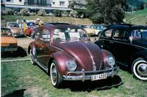 VW-K�fer LU 4101 am K�fer-Treffen in Ch�teau-d'Oex