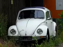 VW-Käfer im Grünen, nächst dem Bhf. Grünburg; 210717