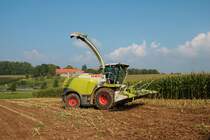 LU Schmidt Ronneburg Claas Jaguar 950 am 18.09.21 bei der Maisernte 2021 bei Diebach am Haag