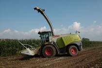 LU Schmidt Ronneburg Claas Jaguar 950 am 18.09.21 bei der Maisernte 2021 bei Diebach am Haag