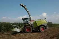 LU Schmidt Ronneburg Claas Jaguar 950 am 18.09.21 bei der Maisernte 2021 bei Diebach am Haag