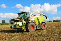 LU Schmidt Ronneburg Claas Jaguar 950 am 18.09.21 bei der Maisernte 2021 bei Diebach am Haag